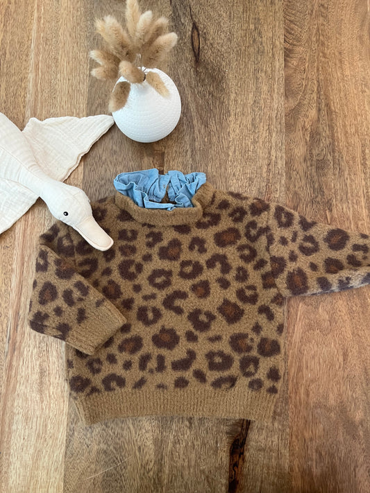 Pull 6 mois Camélia